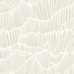 Meet your Posher, Makayla